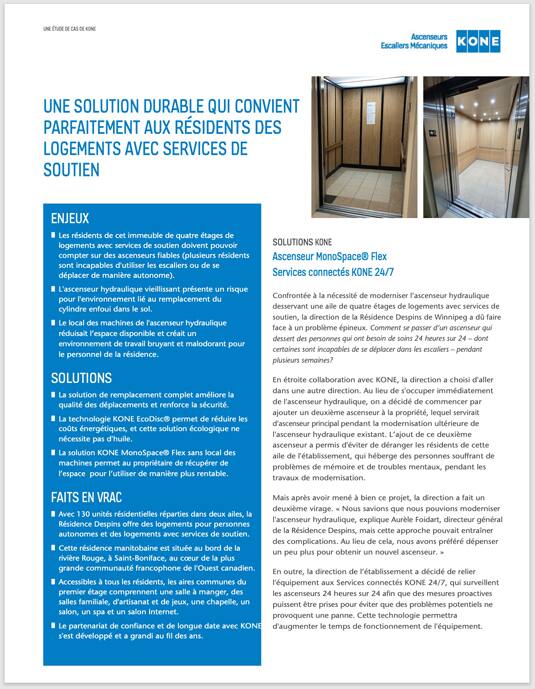 img_despins-PDF-tn-535w.jpg